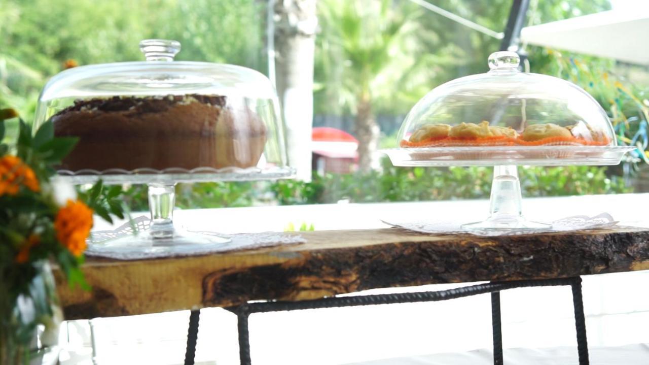 レンデ Parco D'Arte Altart Bed & Breakfast エクステリア 写真